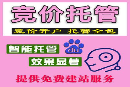 专业网站SEM托管服务案例展示